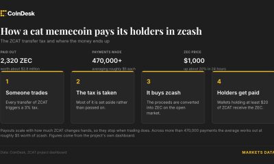 This cat memecoin has paid holders $2.8 million in Zcash as ZEC tops $1,200