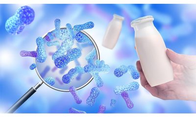Sensient Flavors & Extracts launches fermentation technologies