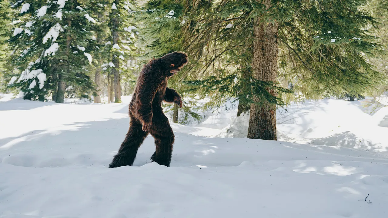 Hard Mountain Dew will pay $1M if you can prove Bigfoot exists