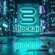 Rain contract exploit drains $1.1M from card users