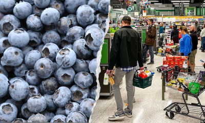 Publix, distributor sued over allegedly tainted blueberries after woman's death