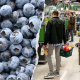 Publix, distributor sued over allegedly tainted blueberries after woman's death