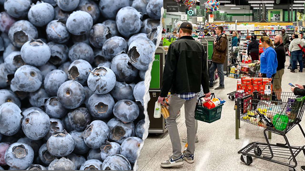 Publix, distributor sued over allegedly tainted blueberries after woman's death