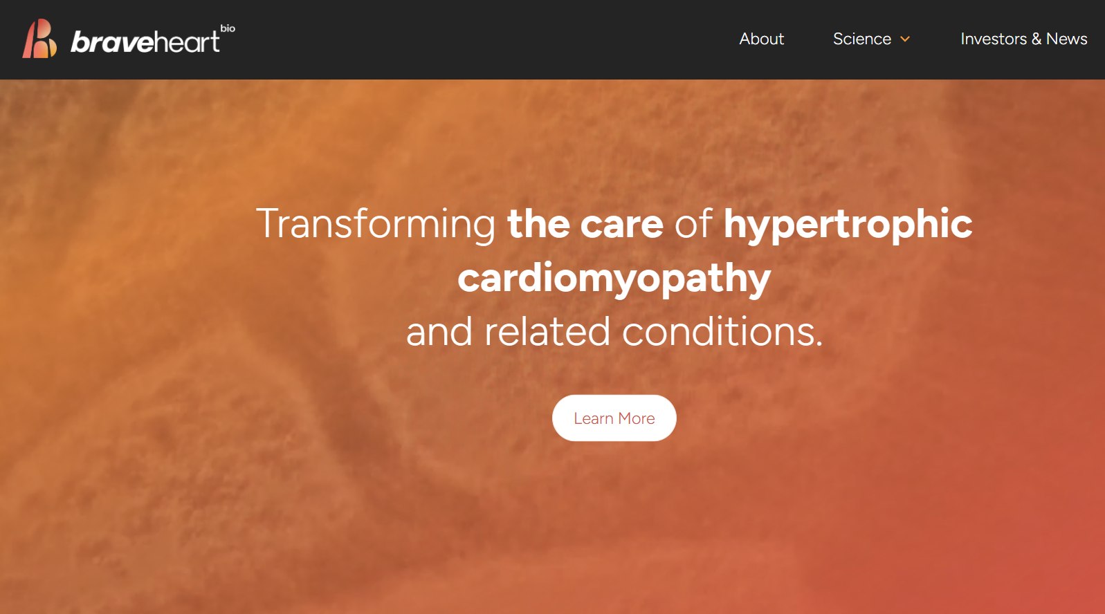 Braveheart Bio Shares Climb 5.50% as Its Phase 3 Heart