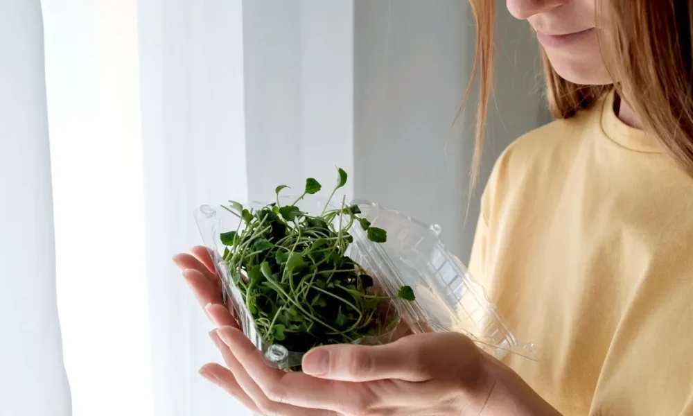 Broccoli sprouts recall linked to salmonella outbreak in 3 states