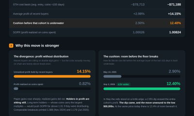 Bitcoin price on-chain divergence infographic