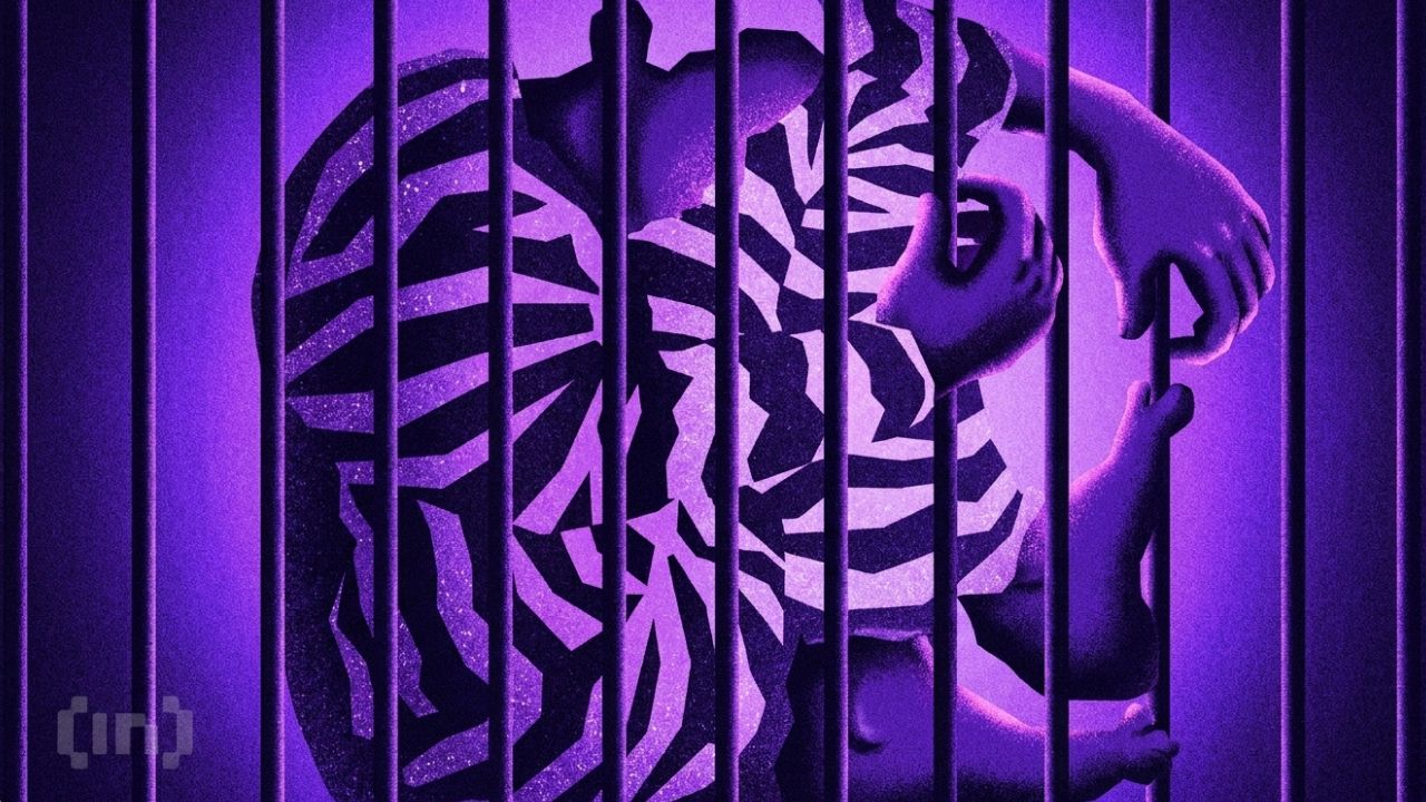 Gaming Contacts Became a $245 Million Crypto Theft Ring, Leader Pleads Guilty