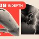 BBC InDepth