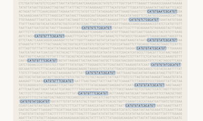 The Pattern Claude Noticed in Raw DNA.