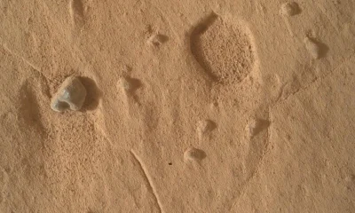 Bizarre 'footprints' spotted on Mars leave scientists scratching their heads | News Weird