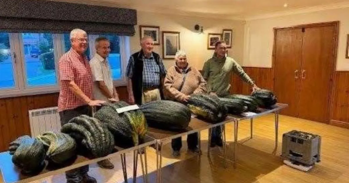 Man with massive marrow invites others to show off theirs | News UK