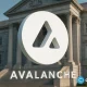 Hyundai Card eyes larger Avalanche stablecoin rollout