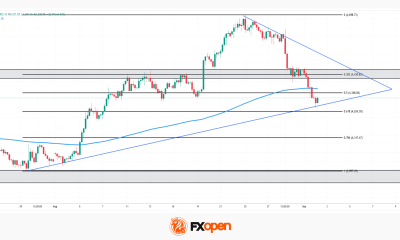 XAU/USD Analysis: Gold's Rally Meets Reality as Fed Hike Odds Surge