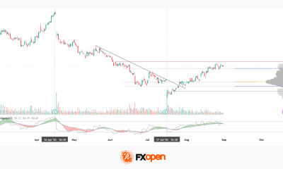 Netflix Analysis: Trend Breakout and Price Move Beyond the Profile