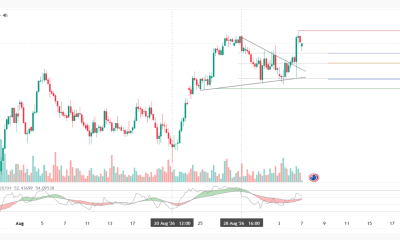 USD/JPY: BoJ Momentum Meets a Fed Still Undecided