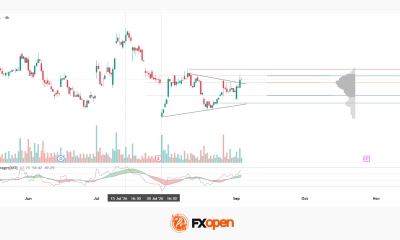 Meta Analysis: Price Attempts to Hold Above the Pattern Amid Mixed Volume Signals