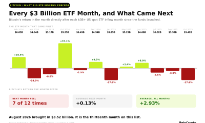 Bitcoin ETF Month Aftermath