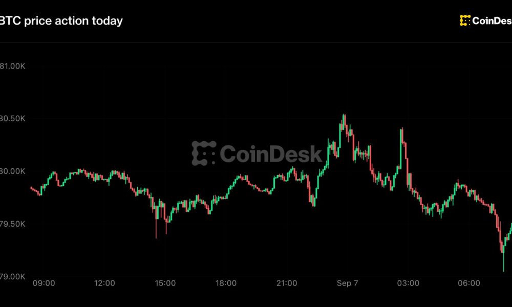 Live updates: Bitcoin holds $79,000 as hike odds climb, zcash runs 45% in a week
