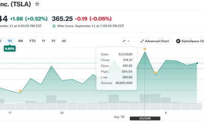Tesla Stock (TSLA) Performance. Source: Yahoo Finance