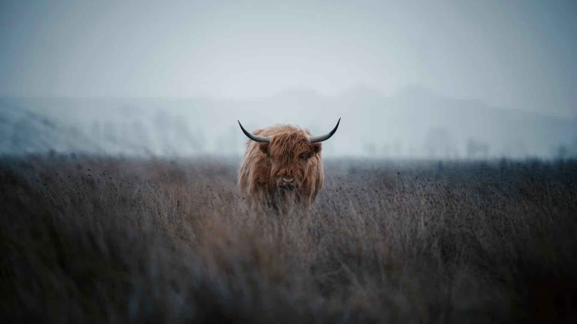 Bitcoin's (BTC) 44% gain in third quarter teases full-blown crypto bull run: Crypto Daily