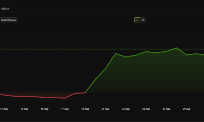 Bitcoin Price Performance