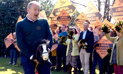Ed Davey: how the middling have fallen