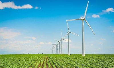 Fewer bakers establish sustainability targets
