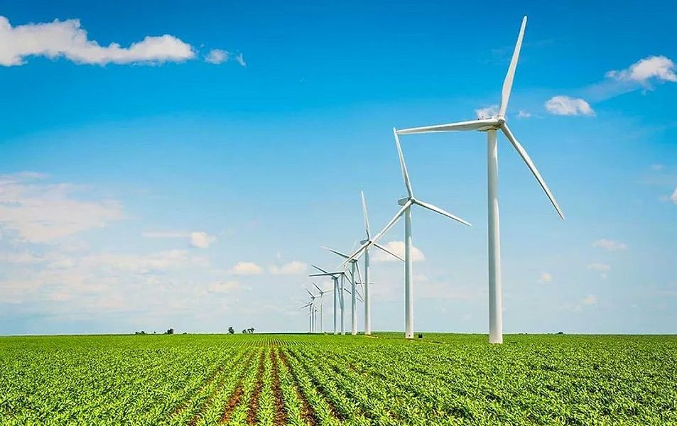 Fewer bakers establish sustainability targets