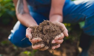 ADM promotes regenerative agriculture process