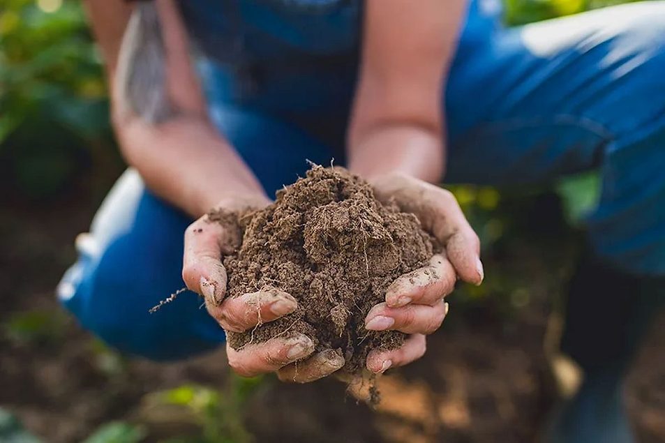 ADM promotes regenerative agriculture process