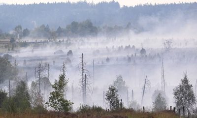 In Europe, Today's Children Will Live Through More Fire Weather Than Their Grandparents