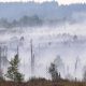 In Europe, Today's Children Will Live Through More Fire Weather Than Their Grandparents