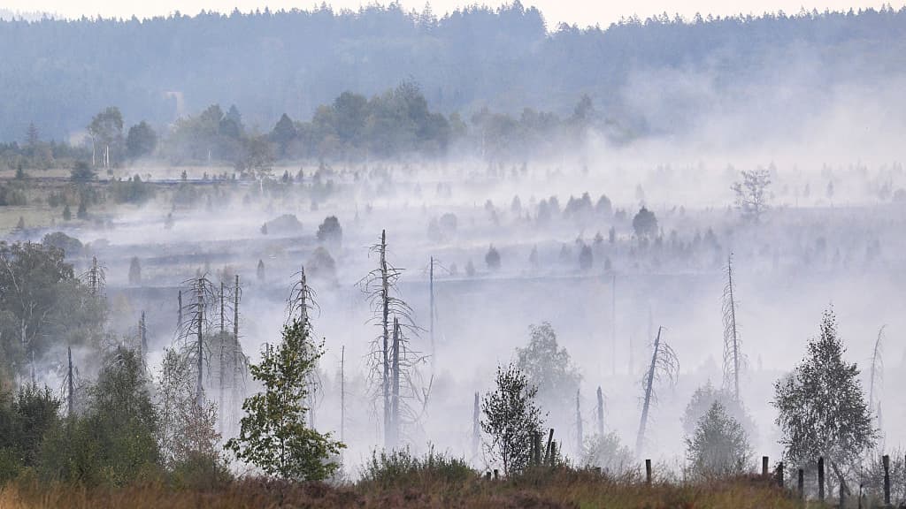 In Europe, Today's Children Will Live Through More Fire Weather Than Their Grandparents