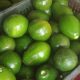 A basket of avocados from Cottanad Plantations