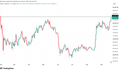 Bitcoin (BTC) Price Performance.