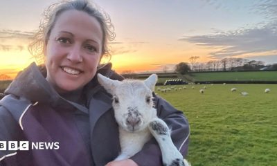 A person is taking a selfie while holding a young lamb in a grassy field at sunset. The lamb is white with dark markings on its nose and legs, and in the background there are several sheep scattered across green pasture, hedgerows, trees and a colourful orange and blue evening sky stretching across the horizon.