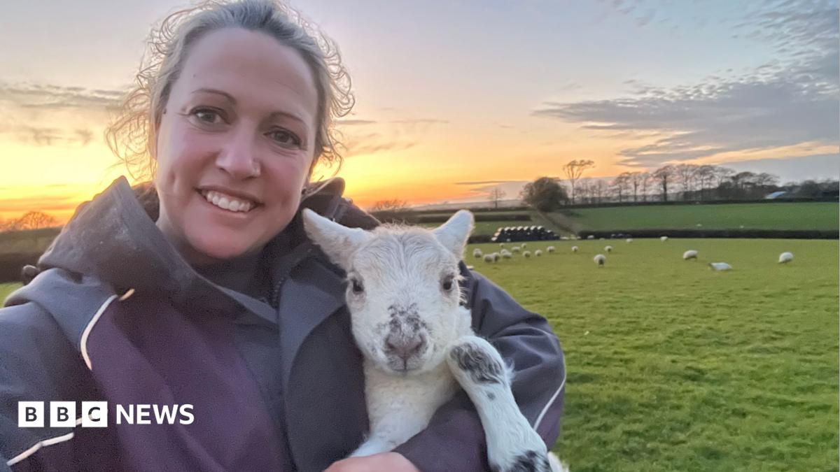 A person is taking a selfie while holding a young lamb in a grassy field at sunset. The lamb is white with dark markings on its nose and legs, and in the background there are several sheep scattered across green pasture, hedgerows, trees and a colourful orange and blue evening sky stretching across the horizon.