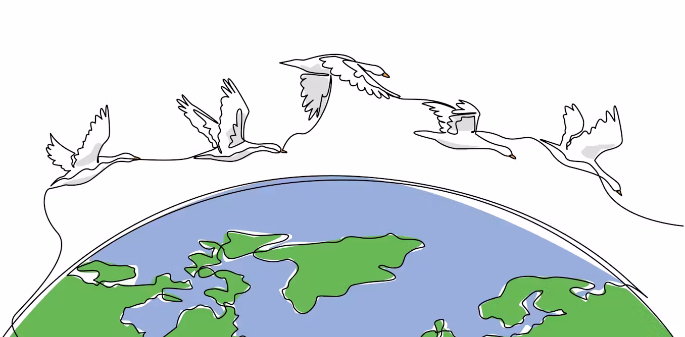 How do animals sense the Earth’s magnetic field?