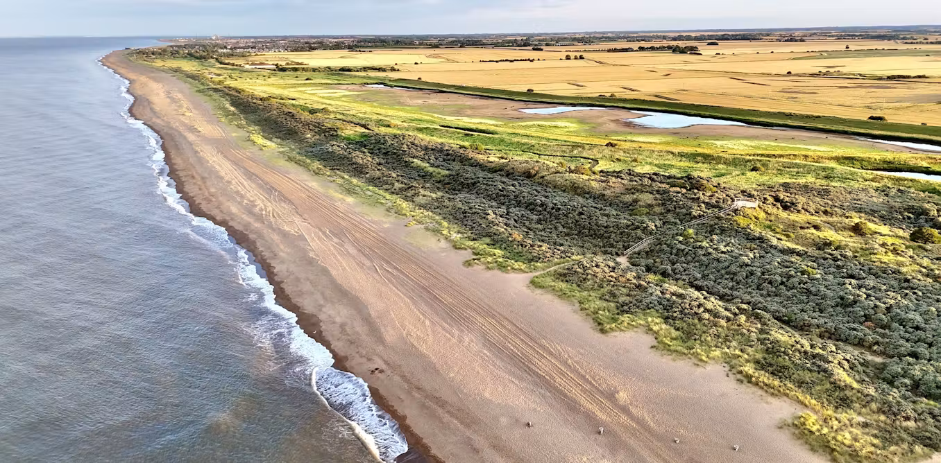 Saltwater flooding could radically change which crops are worth growing
