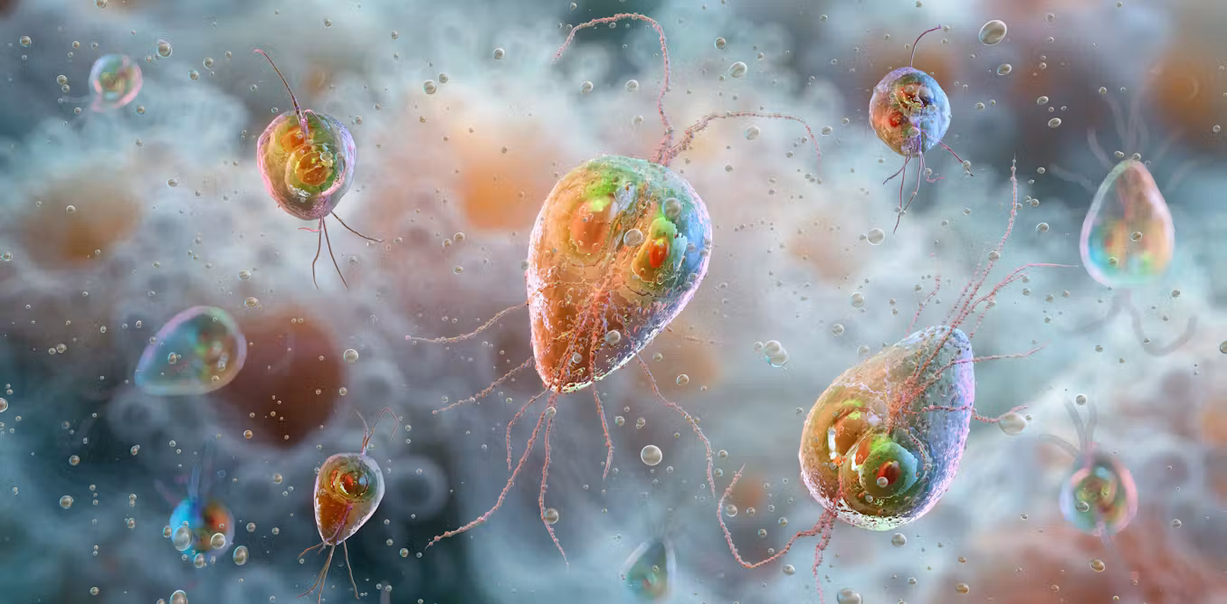 Giardiasis cases are rising in England: should we be worried?