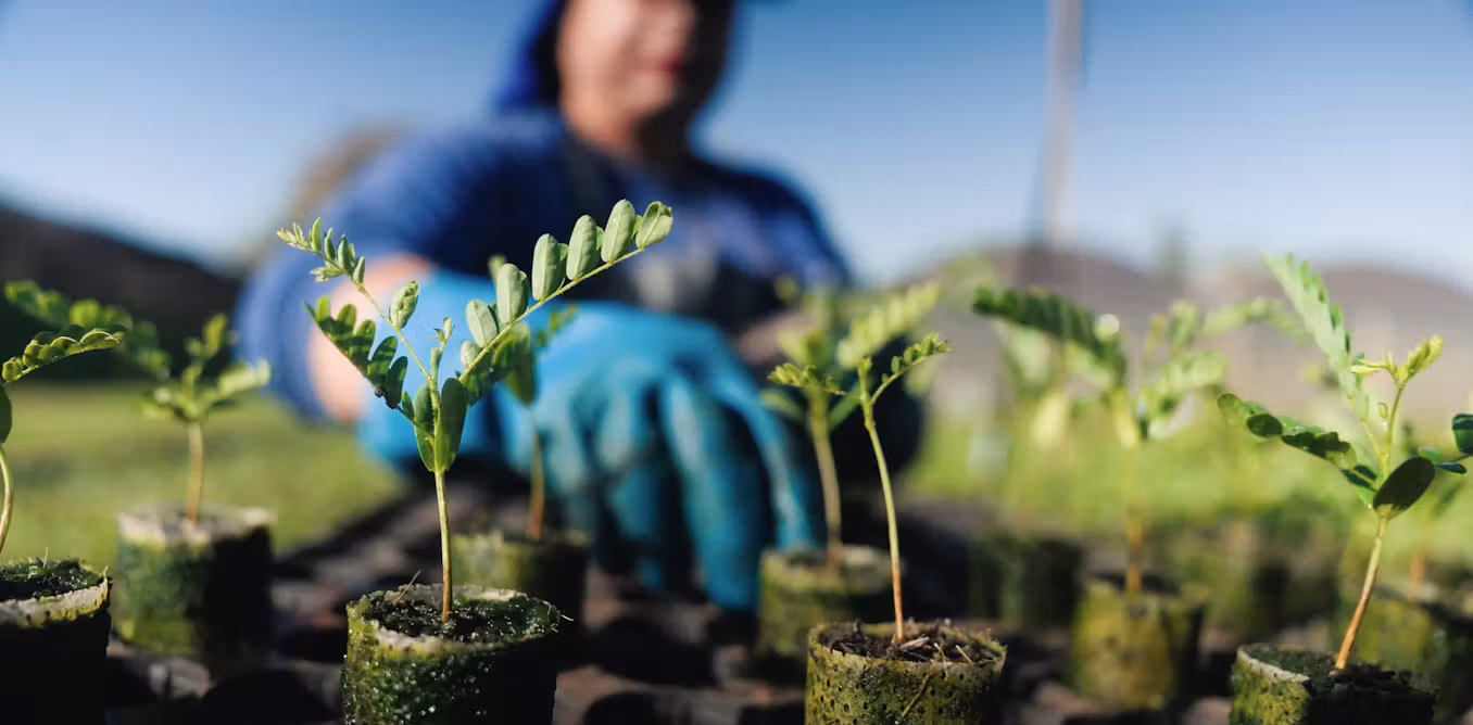 how environmental progress can become unstoppable