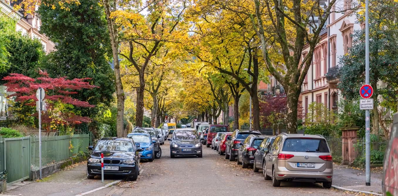 German city reveals how nature thrives when neighbours care for street tree beds
