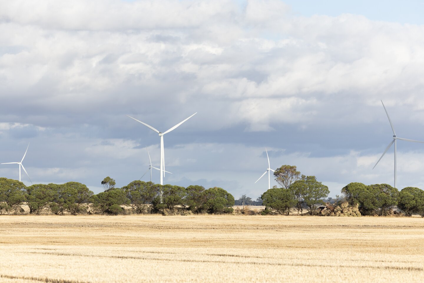 Alinta evaluates Marri wind farm sell-down
