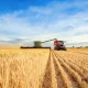 Wheat Falling Back to Start Month-End Trade