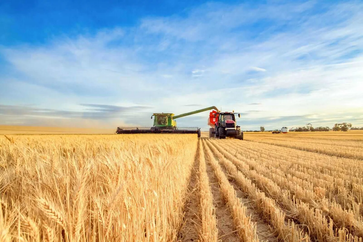 Wheat Falling Back to Start Month-End Trade