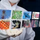 Lam Research Legal Chief Sold $1.5 Million as AI Chip Demand Booms. Is the Signal Bearish?