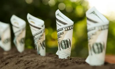 If a Stock Market Crash Is Coming, I'm Buying This 1 Vanguard ETF Without Hesitation