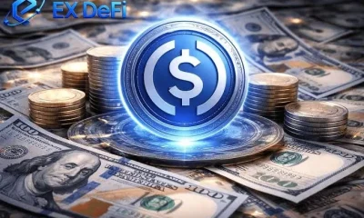 The Federal Reserve sends a key signal: USDC makes major strides in payment and settlement; holders can earn up to $7,000 daily - 3