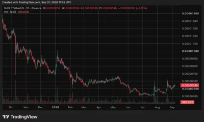 Shiba Inu (SHIB) price chart, source: crypto.news