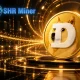 A simple guide to Dogecoin mining: Explore SHR miner cloud mining and earn $4,777 - 2
